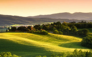 SOSTENIBILITÀ  E CERTIFICAZIONI